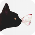 Schmetterling Katze Applock Zeichen