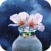 AppLock Theme Water Flower APK