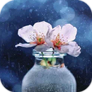 AppLock Theme Water Flower APK