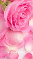 AppLock Theme Pink Rose Screenshot 2