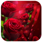 آیکون‌ AppLock Theme Red Rose