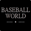 Baseball World (demo) APK