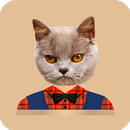 Наклейки Котов APK