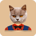 آیکون‌ Cat Stickers