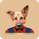 Наклейки собак APK
