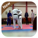 Judo lessons APK