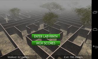 Labyrinth Escape Cartaz