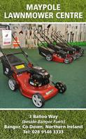 Maypole Lawnmower постер