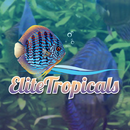 Elite Tropicals APK