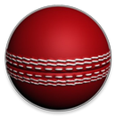 Go Cricket Demo-APK