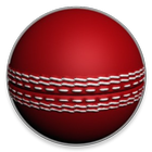 Go Cricket Demo icône