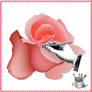 Drawing to Rose Flower APK