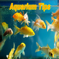 Aquarium Tips