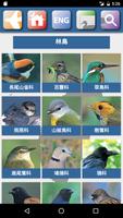 臺灣鳥類 تصوير الشاشة 1