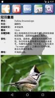 臺灣鳥類 скриншот 3