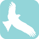 Hong Kong Black Kite Survey APK