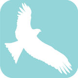 Hong Kong Black Kite Survey icon