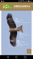 Hong Kong Black Kite Survey স্ক্রিনশট 2