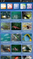 برنامه‌نما Hong Kong Fish عکس از صفحه