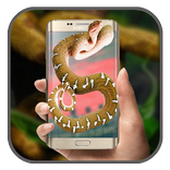 Snake On Screen Hissing Joke 2017 : Animated Snake