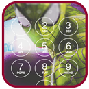 Black Spider Lock Screen HD APK