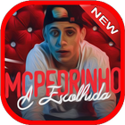 A Escolhida - MC Pedrinho Mp3 Funk 2018 icône