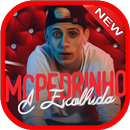 A Escolhida - MC Pedrinho Mp3 Funk 2018 APK