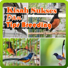 Kisah Sukses Dan Tips Breeding icon