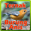 Ternak Burung Anis APK