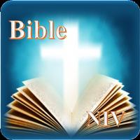 Holy Bible(NIV) poster