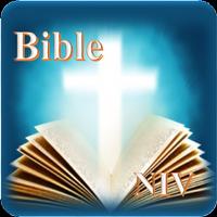 Holy Bible(NIV) 海报