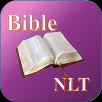 Holy Bible(NLT) poster