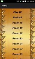 Audio Psalms Affiche