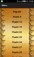 Audio Psalms poster