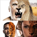 Half Lion Faces