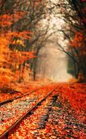 Autumn Wallpapers - Best Autumn wallpaper постер