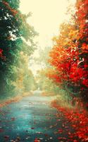 Autumn Wallpapers - Best Autumn wallpaper скриншот 1