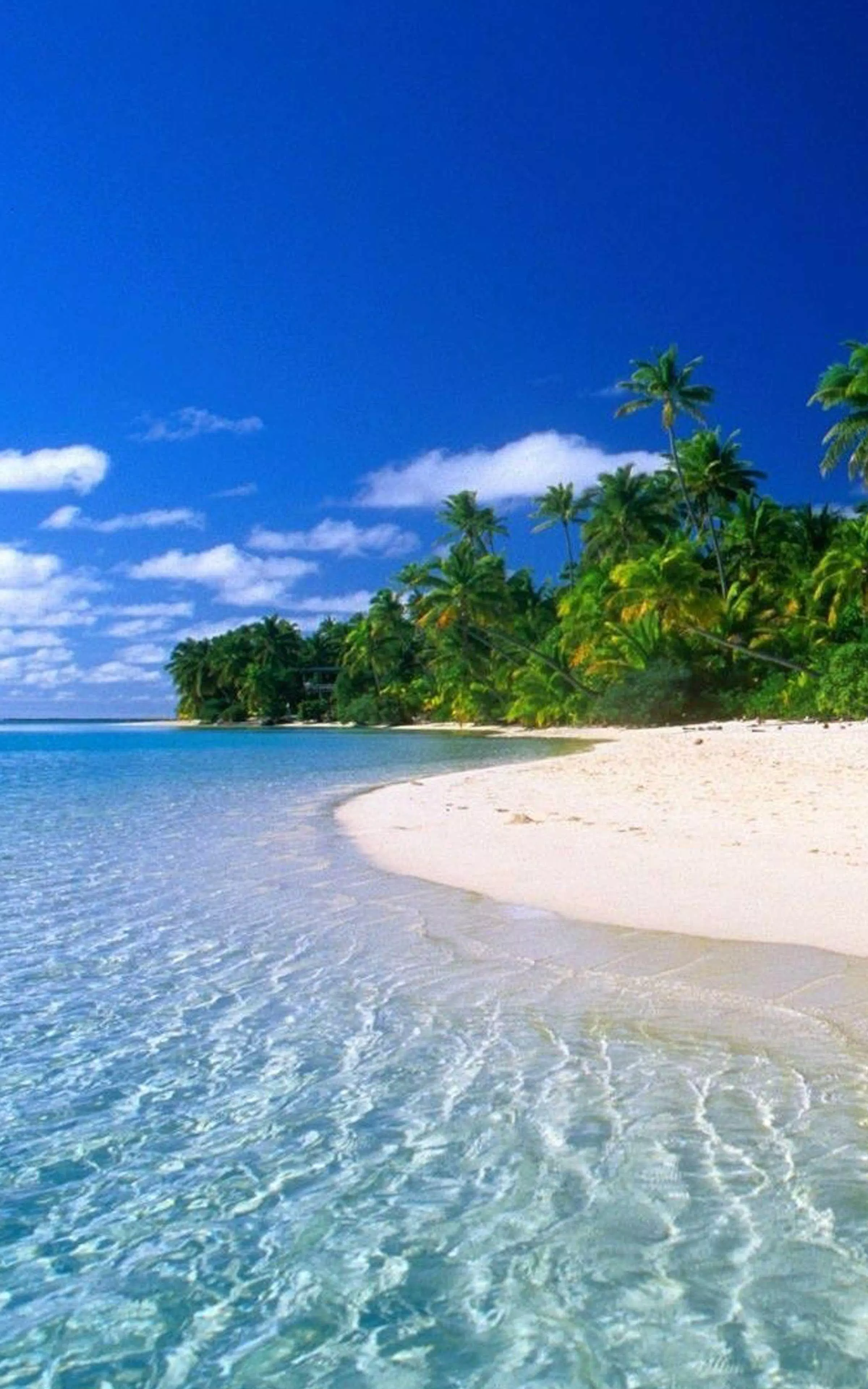 Beach Wallpapers - Best Beach wallpaper APK for Android Download Beach Wallpapers - Best Beach wallpaper APK for Android Download