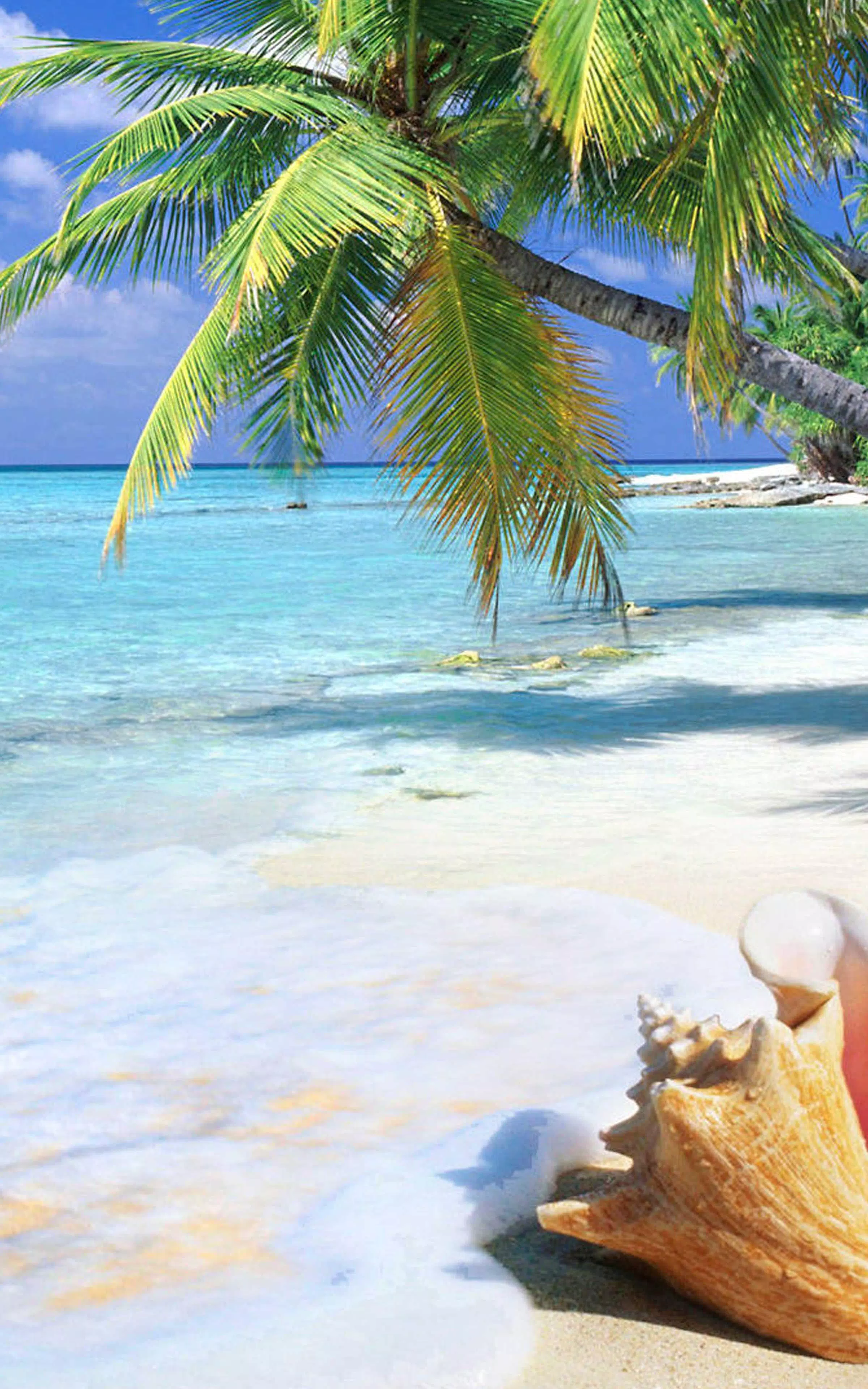 Beach Wallpapers - Best Beach wallpaper APK for Android Download Beach Wallpapers - Best Beach wallpaper APK for Android Download