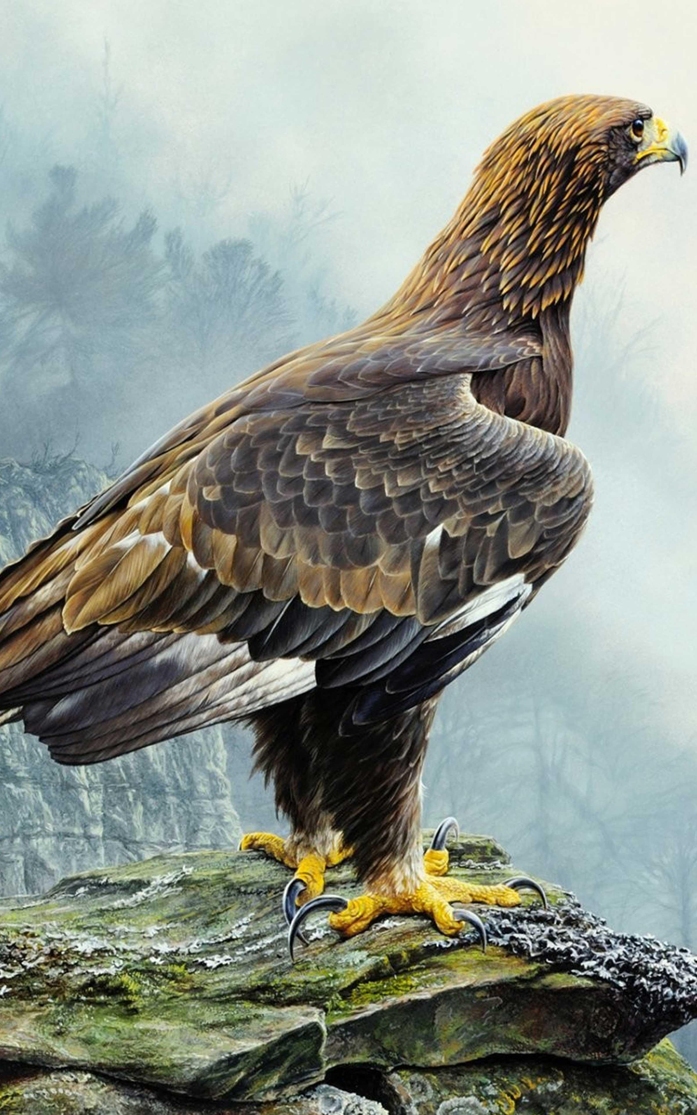 Original Eagle Wallpaper For Android - wallpaper quotes