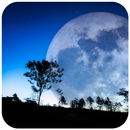 Moonlight Wallpaper HD - Best Moonlight Wallpapers APK