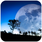 Moonlight Wallpaper HD - Best Moonlight Wallpapers icon