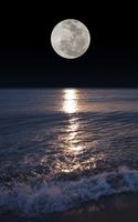 Moonlight Wallpaper HD - Best Moonlight Wallpapers captura de pantalla 2