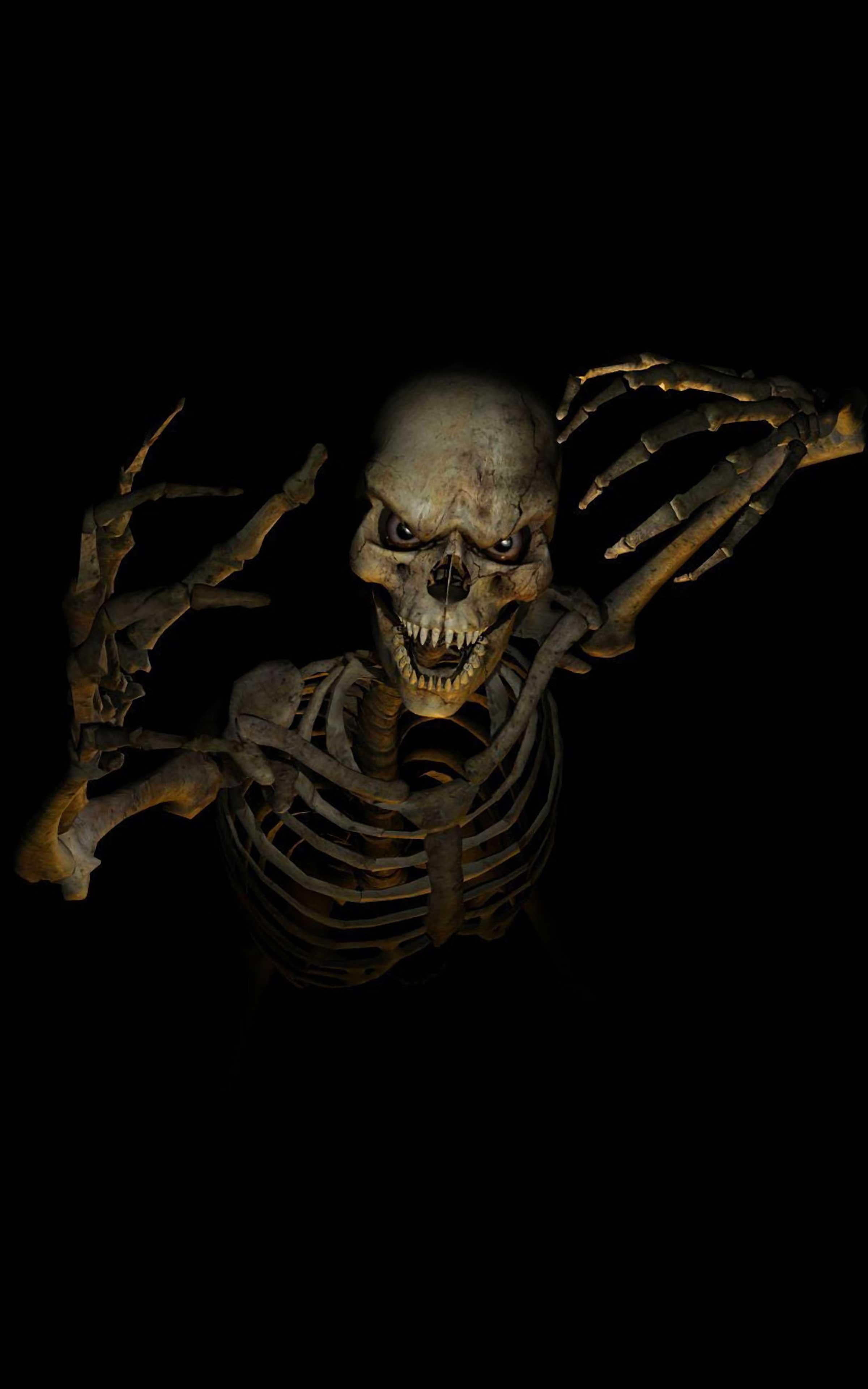 Skeleton Wallpaper Best Skeleton Wallpapers For Android Apk Skeleton Wallpaper Best Skeleton Wallpapers For Android Apk