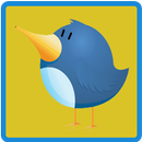 MEISA BIRD JOURNEY APK