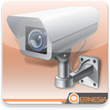 ERNESIA CCTV #1 Indonesia icône