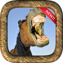 Animal Face Changer APK