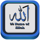 99 Name of Allah Asma-ul Husna APK