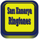 Sari Kanarya Marches APK