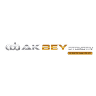 Akbey Otomotiv B2B icône